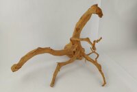 Spiderwood Aquarienwurzel Moorwurzel SR64 ca. 43x33x31 cm