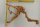 Spiderwood Aquarienwurzel Moorwurzel SR64 ca. 43x33x31 cm