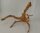 Spiderwood Aquarienwurzel Moorwurzel SR64 ca. 43x33x31 cm