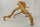 Spiderwood Aquarienwurzel Moorwurzel SR64 ca. 43x33x31 cm