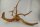 Spiderwood Aquarienwurzel Moorwurzel SR64 ca. 43x33x31 cm