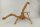 Spiderwood Aquarienwurzel Moorwurzel SR64 ca. 43x33x31 cm
