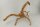 Spiderwood Aquarienwurzel Moorwurzel SR64 ca. 43x33x31 cm