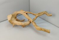Spiderwood Aquarienwurzel Moorwurzel SR70 ca. 42x22x15 cm