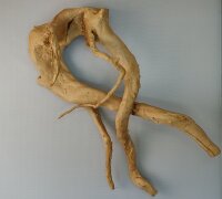 Spiderwood Aquarienwurzel Moorwurzel SR70 ca. 42x22x15 cm