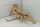 Spiderwood Aquarienwurzel Moorwurzel SR72 ca. 42x38x25 cm