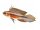 Aufkleber Apistogramma elisabethae
