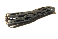 Cholla Kaktusholz Vuka 2-2,5 cm &Oslash;