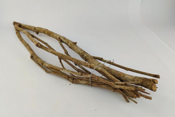 Talawa wood Teawood Aquarienwurzel TB1 ca. 54x13x8 cm