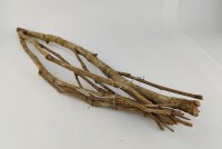 Talawa wood Teawood Aquarienwurzel TB1 ca. 54x13x8 cm