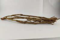 Talawa wood Teawood Aquarienwurzel TB1 ca. 54x13x8 cm