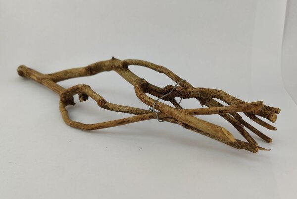 Talawa wood Teawood Aquarienwurzel TB2 ca. 54x13x7 cm