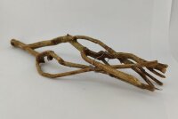 Talawa wood Teawood Aquarienwurzel TB2 ca. 54x13x7 cm