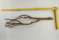 Talawa wood Teawood Aquarienwurzel TB2 ca. 54x13x7 cm