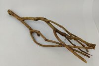 Talawa wood Teawood Aquarienwurzel TB2 ca. 54x13x7 cm