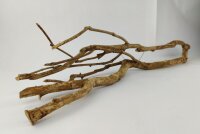 Talawa wood Teawood Aquarienwurzel TB3 ca. 69x12x11 cm