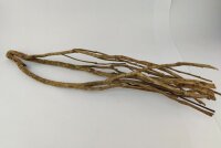 Talawa wood Teawood Aquarienwurzel TB4 ca. 58x12x10 cm
