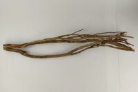Talawa wood Teawood Aquarienwurzel TB4 ca. 58x12x10 cm