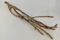 Talawa wood Teawood Aquarienwurzel TB5 ca. 54x15x8 cm