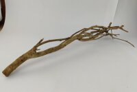 Talawa wood Teawood Aquarienwurzel TB7 ca. 57x10x9 cm