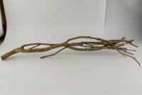 Talawa wood Teawood Aquarienwurzel TB7 ca. 57x10x9 cm
