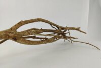 Talawa wood Teawood Aquarienwurzel TB7 ca. 57x10x9 cm
