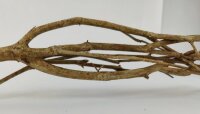 Talawa wood Teawood Aquarienwurzel TB7 ca. 57x10x9 cm