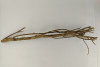 Talawa wood Teawood Aquarienwurzel TB7 ca. 57x10x9 cm