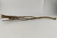 Talawa wood Teawood Aquarienwurzel TB8 ca. 58 cm