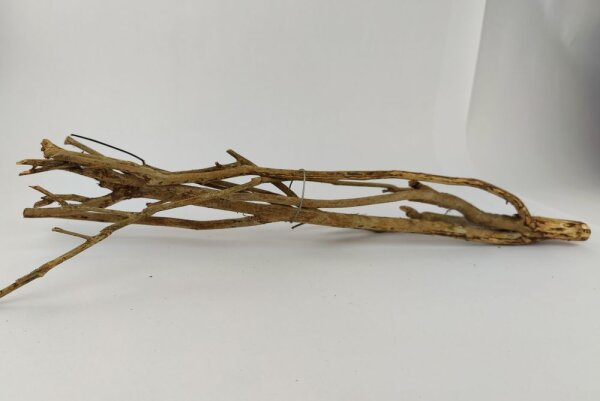 Talawa wood Teawood Aquarienwurzel TB9 ca. 46x10x7 cm