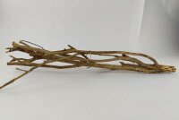 Talawa wood Teawood Aquarienwurzel TB9 ca. 46x10x7 cm
