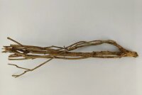Talawa wood Teawood Aquarienwurzel TB9 ca. 46x10x7 cm