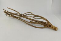 Talawa wood Teawood Aquarienwurzel TB9 ca. 46x10x7 cm