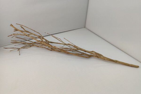 Talawa wood Teawood Aquarienwurzel TB10 ca. 60 cm