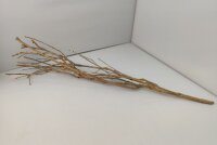 Talawa wood Teawood Aquarienwurzel TB10 ca. 60 cm
