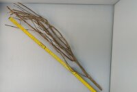 Talawa wood Teawood Aquarienwurzel TB10 ca. 60 cm