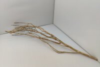 Talawa wood Teawood Aquarienwurzel TB10 ca. 60 cm