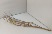 Talawa wood Teawood Aquarienwurzel TB10 ca. 60 cm