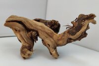 Aquarienwurzel Weinrebe WR2