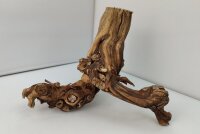 Aquarienwurzel Weinrebe WR2
