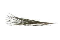 Palmblatt Palmwedel f&uuml;r Biotoaquaristik