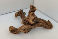 Aquarienwurzel Weinrebe WR7
