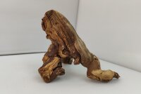Aquarienwurzel Weinrebe WR8
