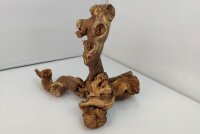 Aquarienwurzel Weinrebe WR8