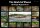 Poster: The World of Plecos &ndash; Rio Xingu Hypancistrus