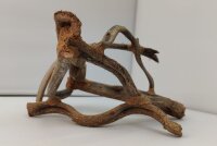 Aquarienwurzel Lianenw&uuml;rfel LW2