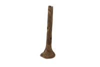 Garnelenstamm 18 cm