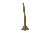 Garnelenstamm 30 cm
