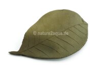 Aquarium Versteck Tonblatt 15 cm