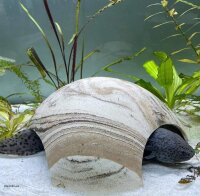 Axolotl H&ouml;hle 3 Eing&auml;nge 18 cm &Oslash; Iglu-H&ouml;hle
